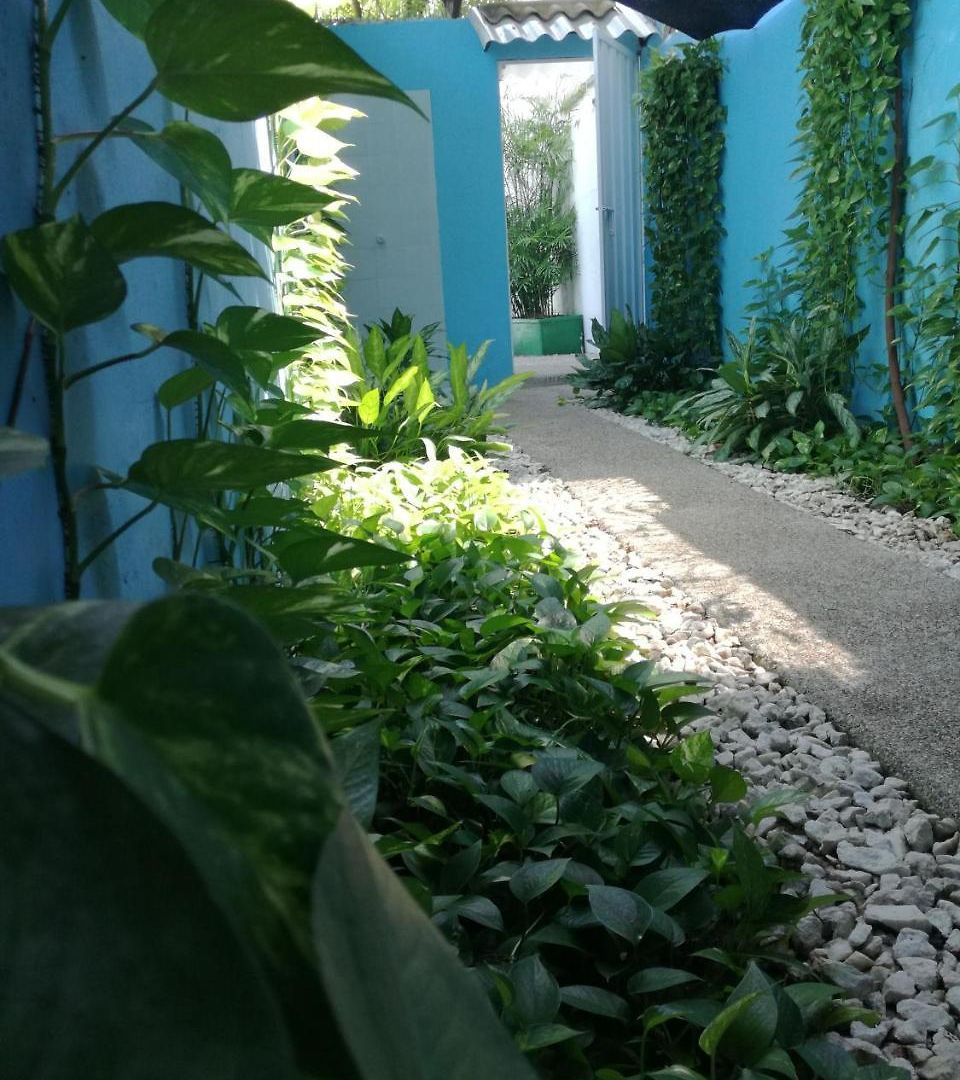 La Casa Azul *